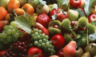 秋天成熟的果实有哪些 秋天收获的水果